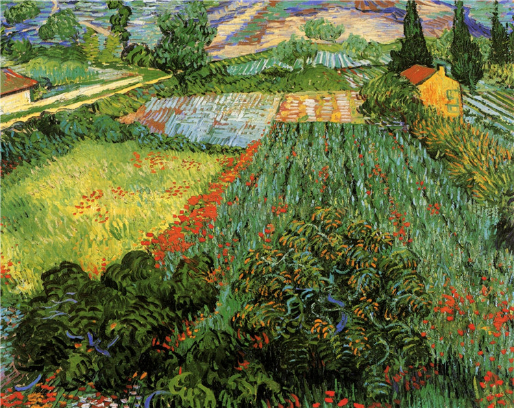 Field With Poppies Van Gogh Oil Painting